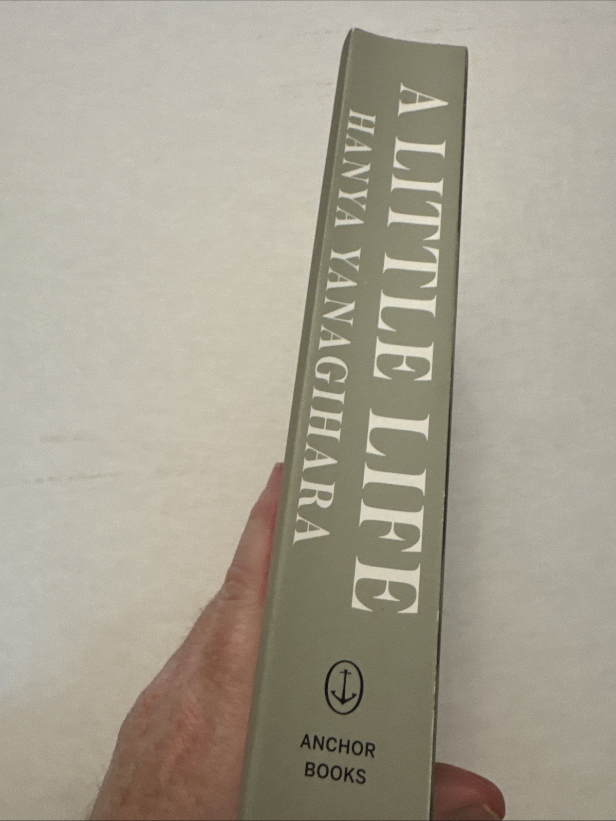 Little Life by Hanya Yanagihara (2016, Trade Paperback)