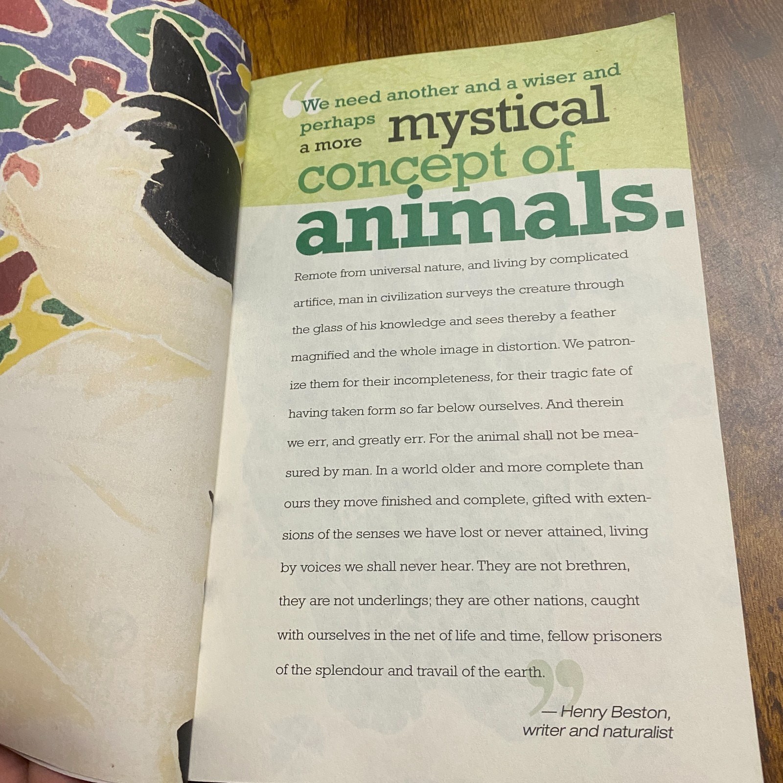 Pets Gone Green Live a More Eco-Conscious Life with Your Pets Eve Adamson