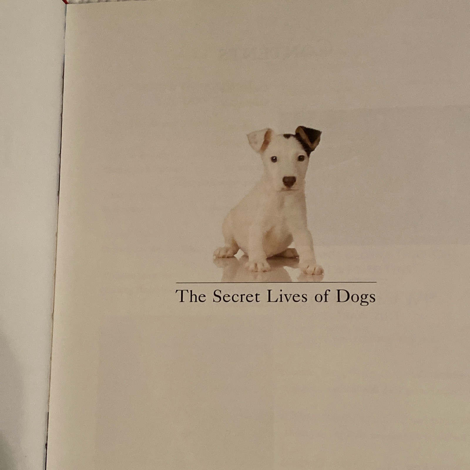 The Secret Lives of Dogs Jana Murphy 2000 Illustrated Pets MJF Books