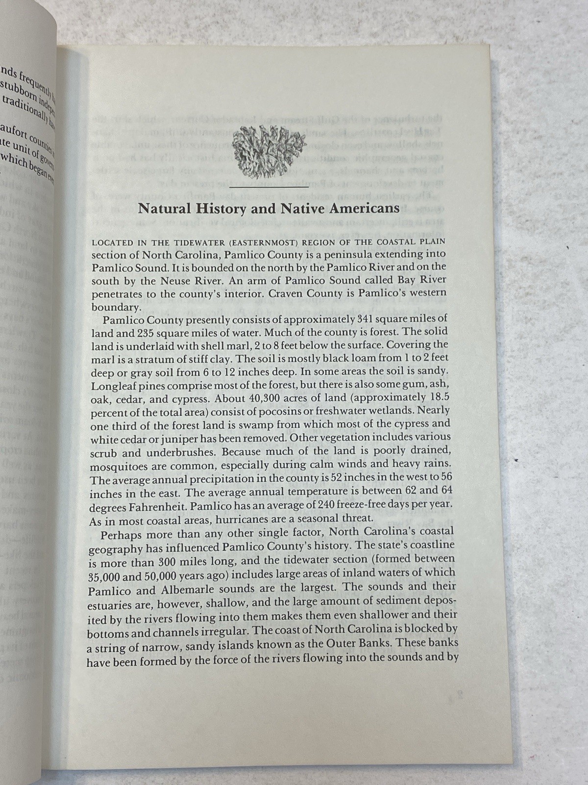 Pamlico County A Brief History Joe A Mobley North Carolina Bayboro Record Series