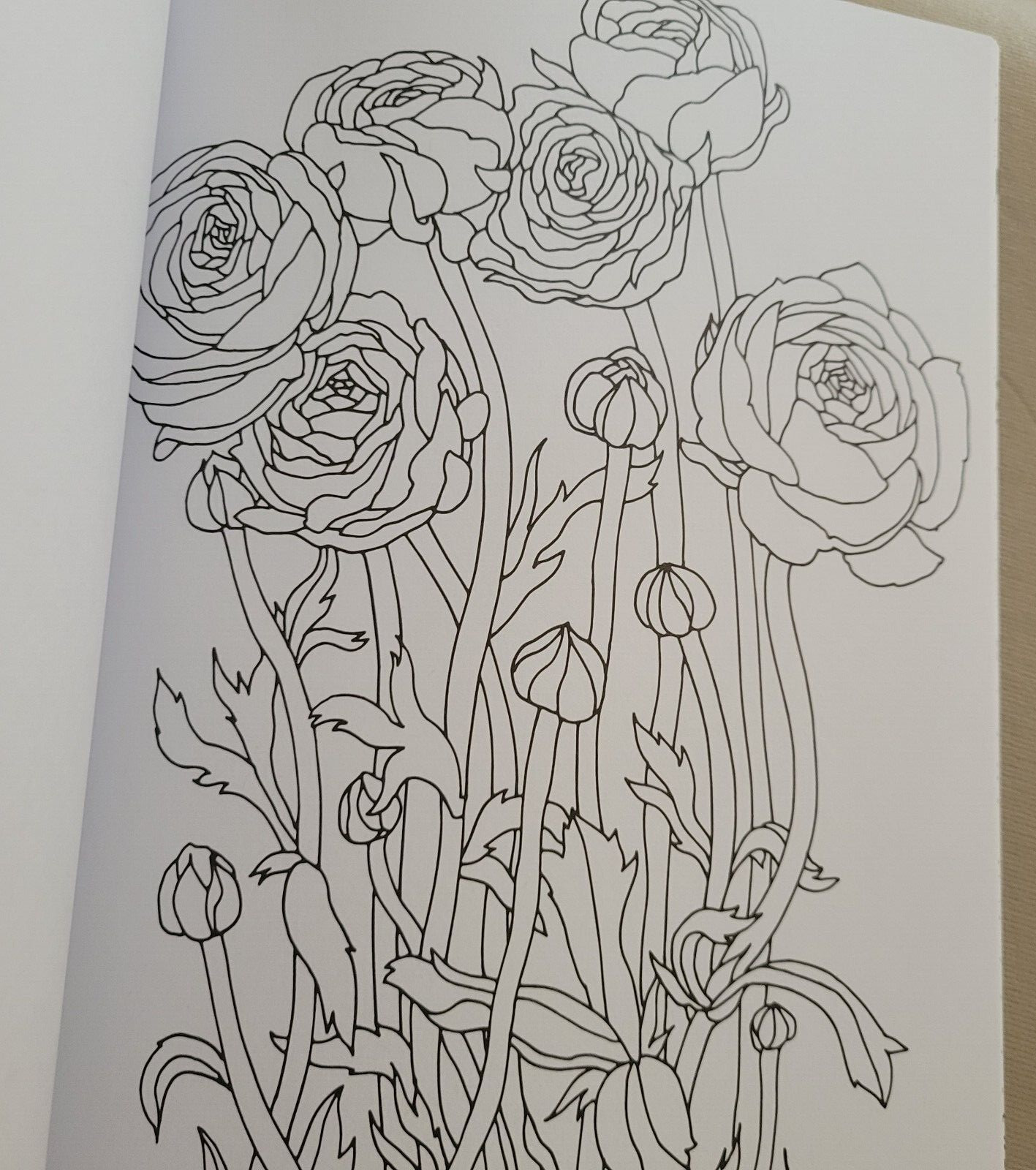 LOVE YOU MOM ADULT COLORING BOOK – 2022 TOPIX MEDIA – 47 FESTIVE COLORING PAGES