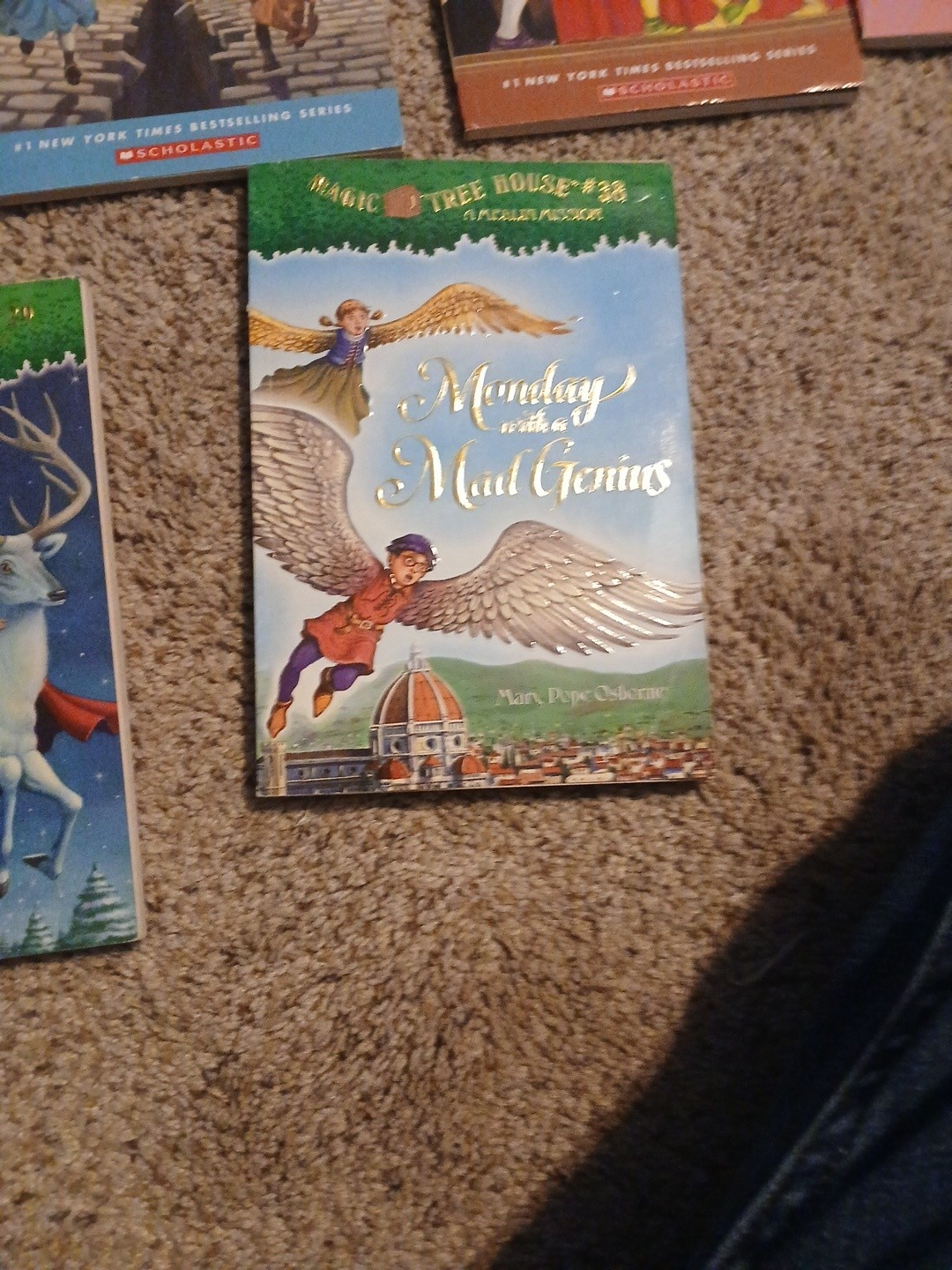 Lot of 17 Magic Tree House Books Mary Pope Osborne Childrens