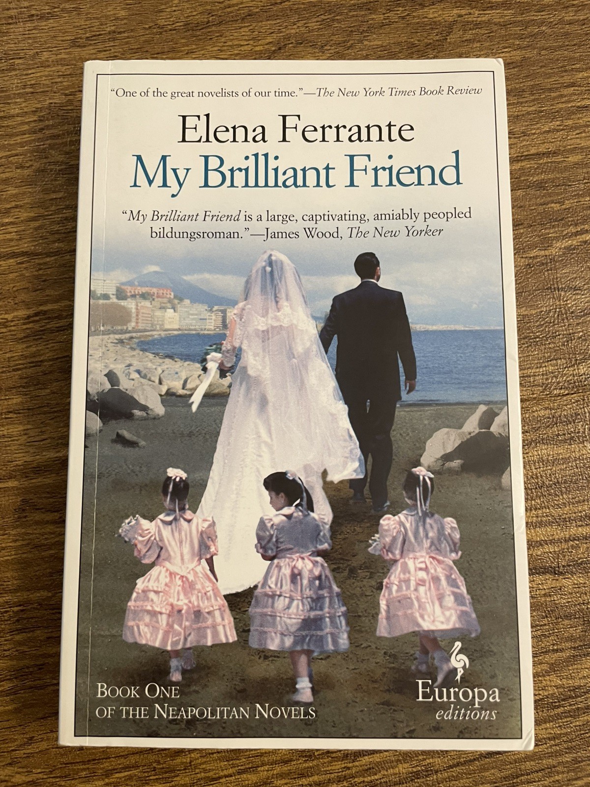 My Brilliant Friend Elena Ferrante Paperback Book Like New