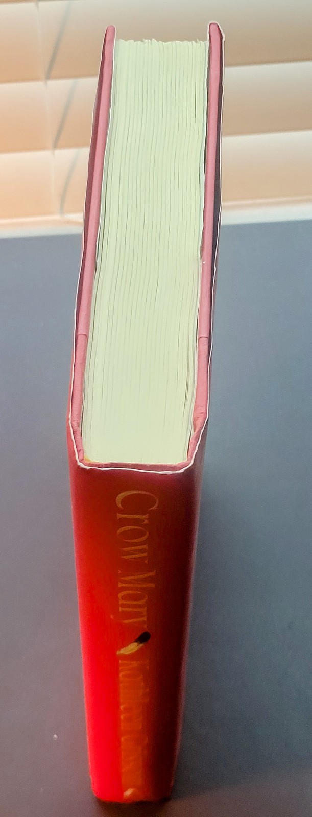 Crow Mary A Novel Kathleen Grissom Hardcover 2023 – Very Good –
