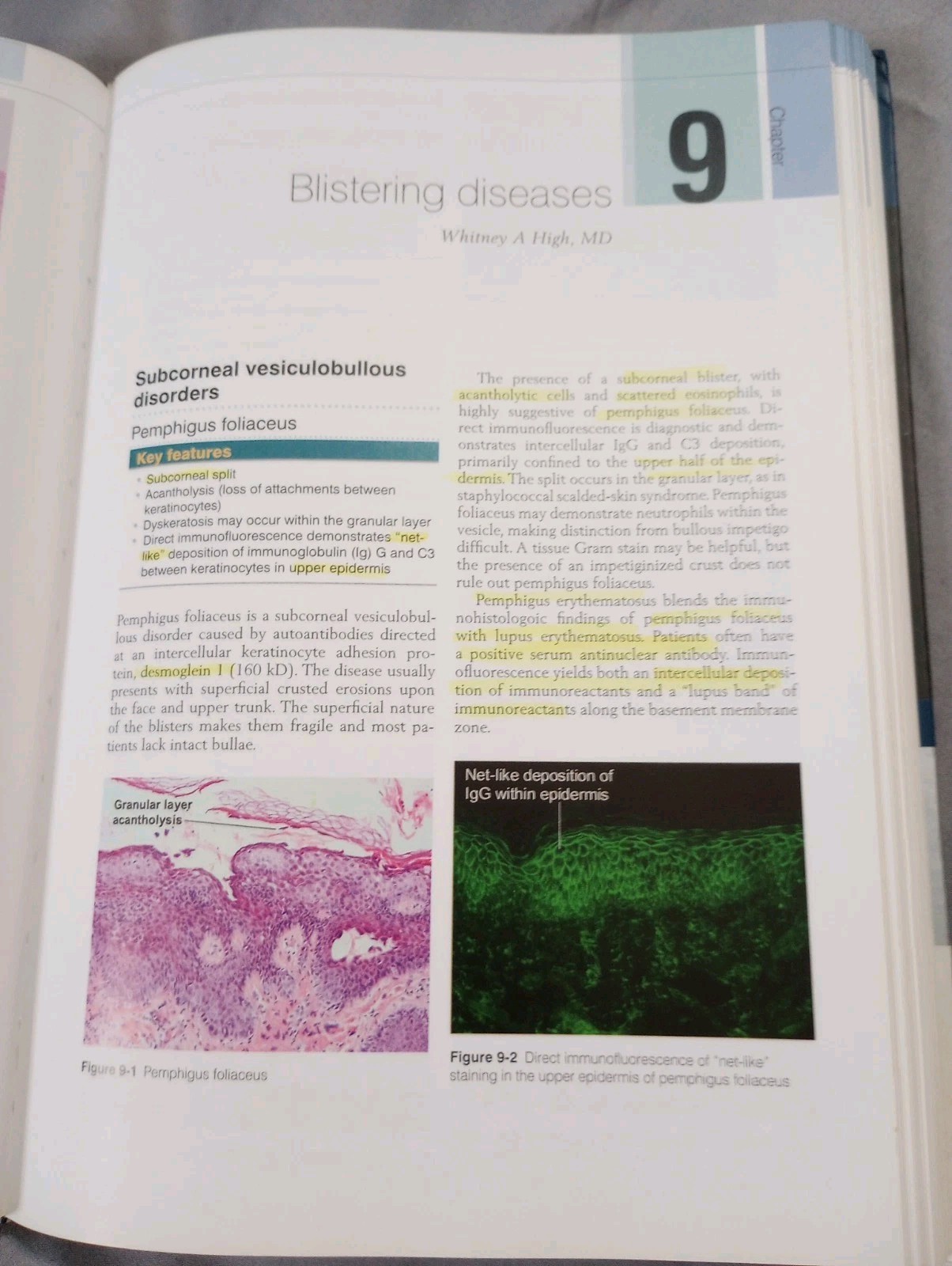 Requisite In Dermatology Dermatopathology 2009 Saunders Elsevier