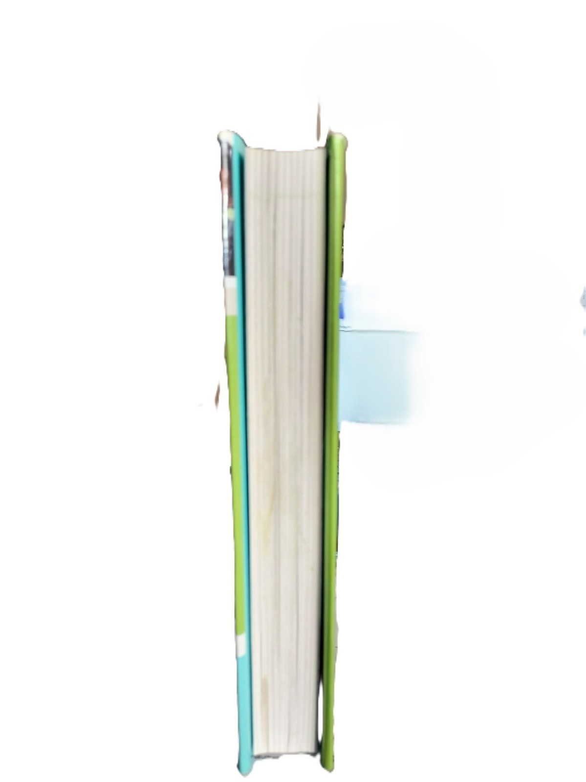 The Daniel Plan Ser.: The Daniel Plan : 40 Days to a Healthier Life by Daniel G.