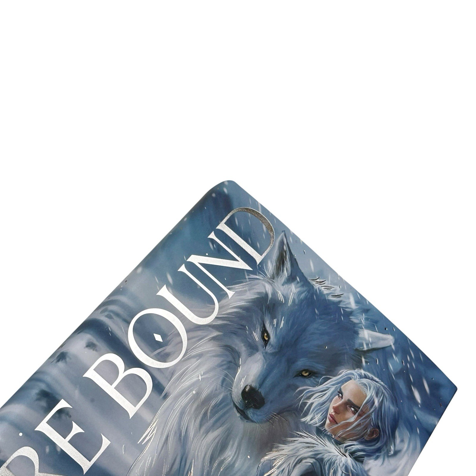 Dire Bound Fairyloot SIGNED Exclusive Edition Sable Sorensen (NEW)