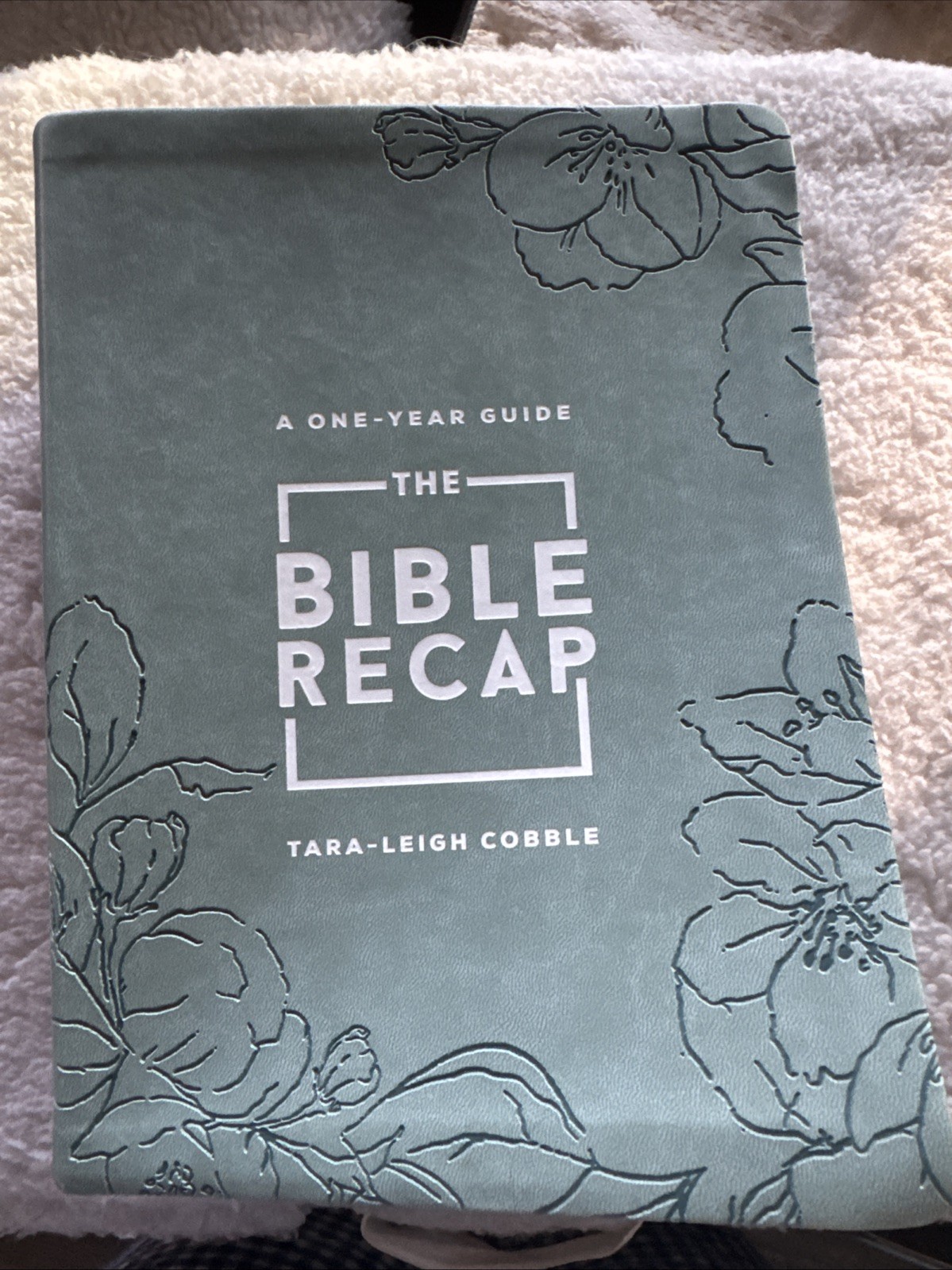 Bible Recap: A One-Year Guide to Reading and Understanding the Entire Bible