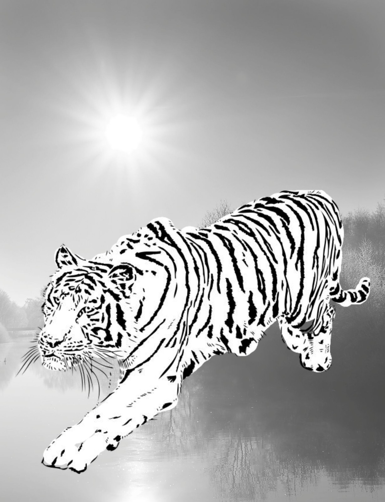 Coloring Book save the Tigers 108 Pages 8.5 x 11 for All Ages Best Tigers book