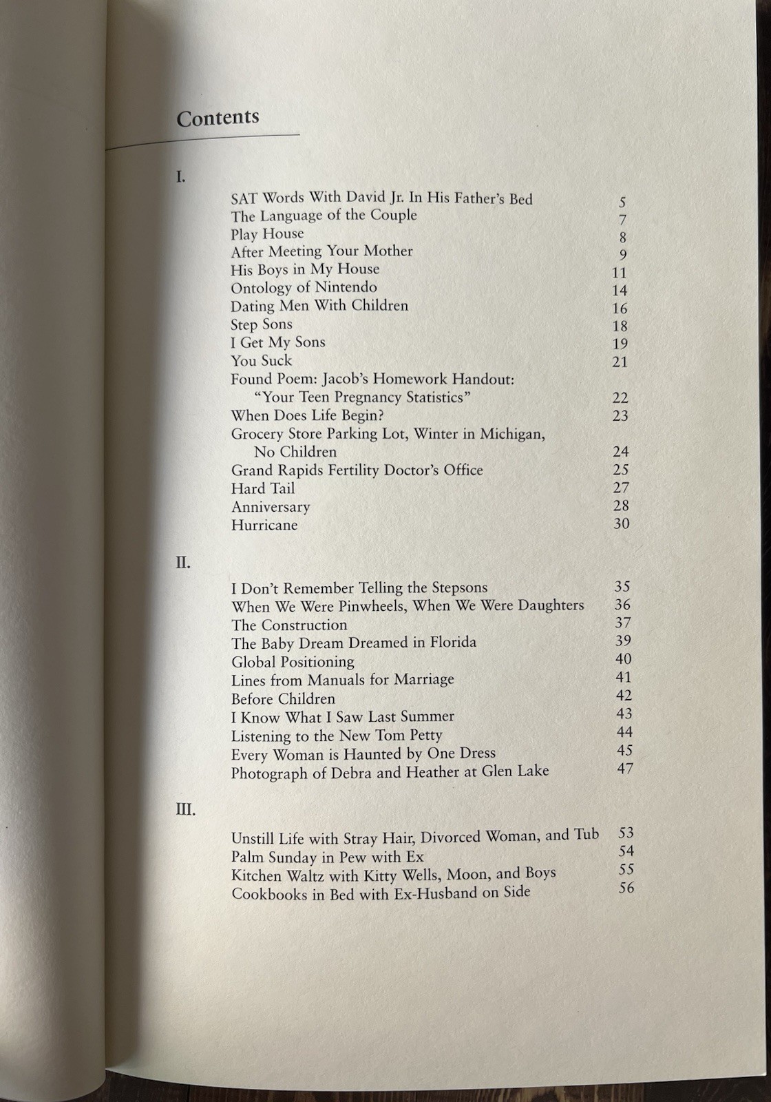 The Boys I Borrow by Heather Sellers 2007 Paperback Poetry Book 1st Edition