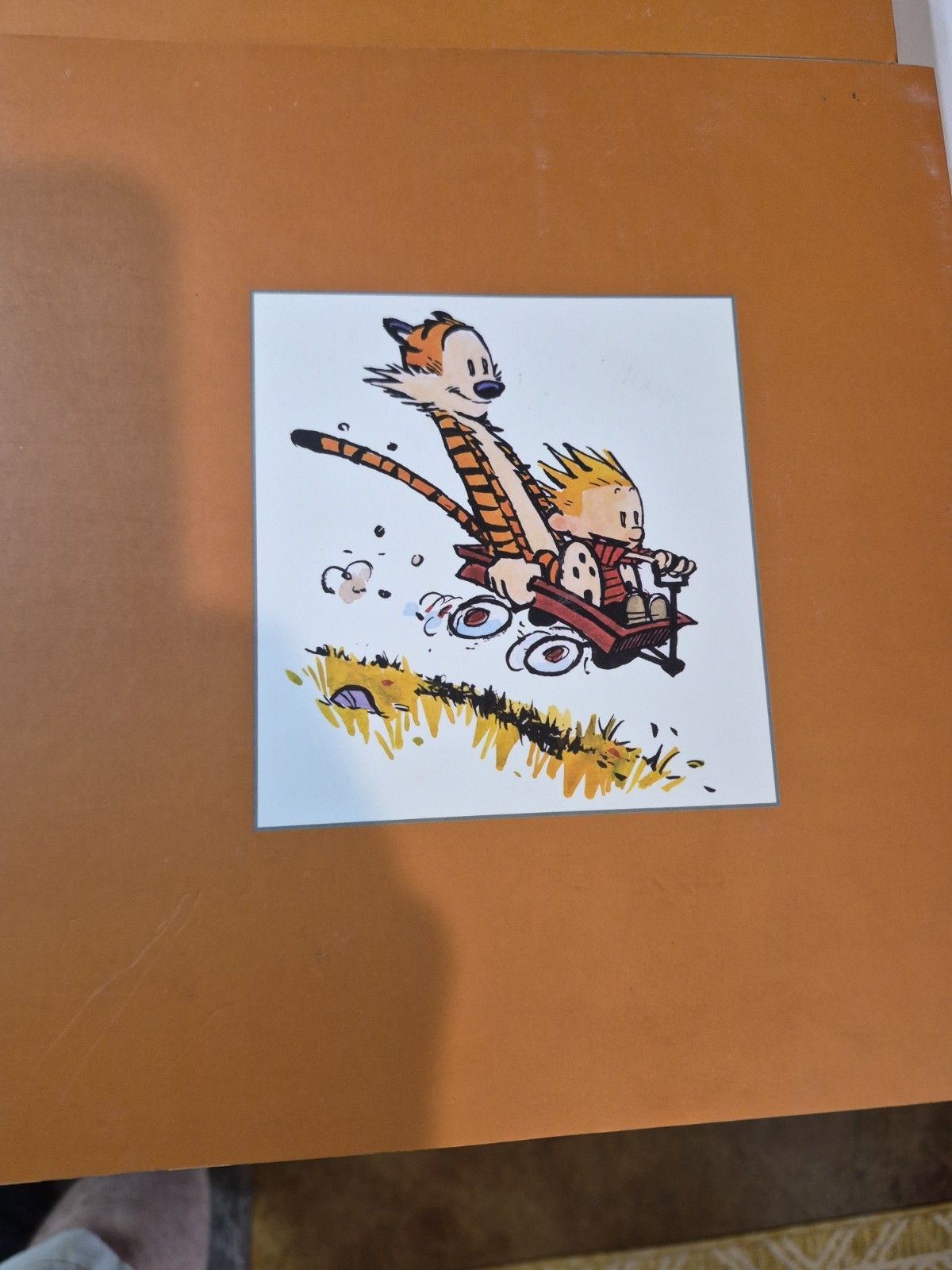 The Complete Calvin and Hobbes • 4 Book Box Set (Paperback)