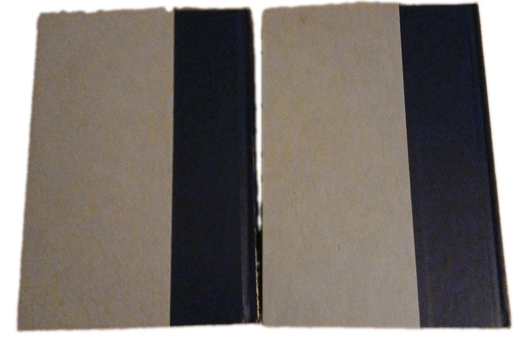 Funk and Wagnalls Standard Desk Dictionary 2 Hardcover Volume Set 1984 Edition