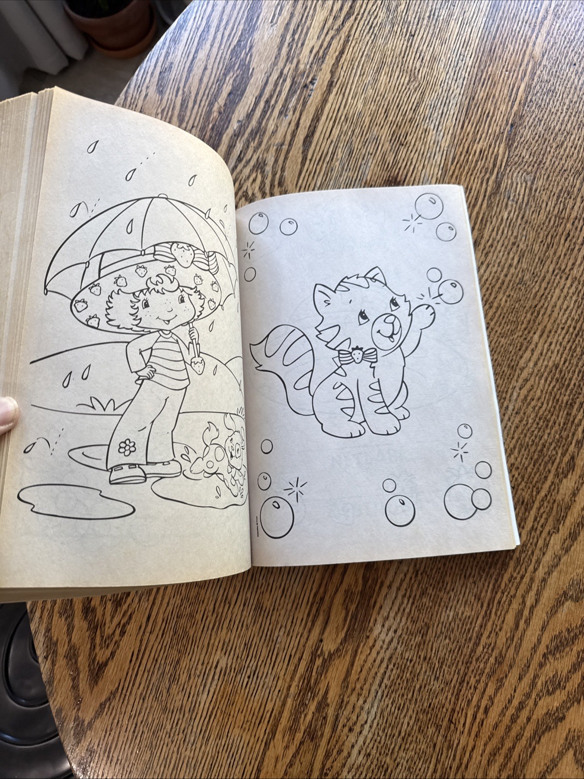 Strawberry Shortcake: : 400 Pages of Coloring Fun! (Strawberry Shortcake) BB