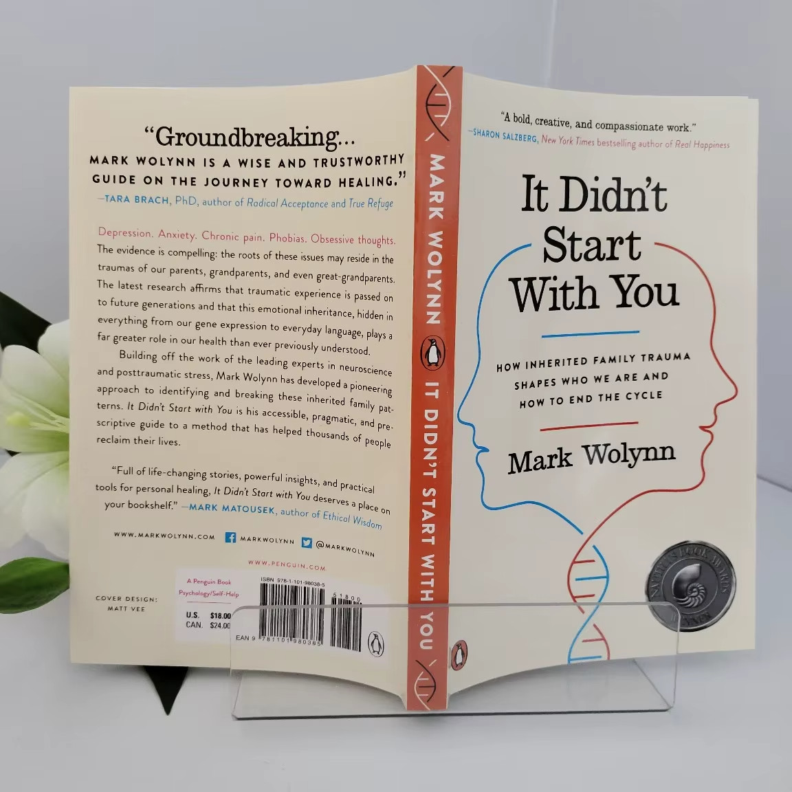 It Didn’t Start with You: How Inherited Family Trauma Shapes Who We Are and …