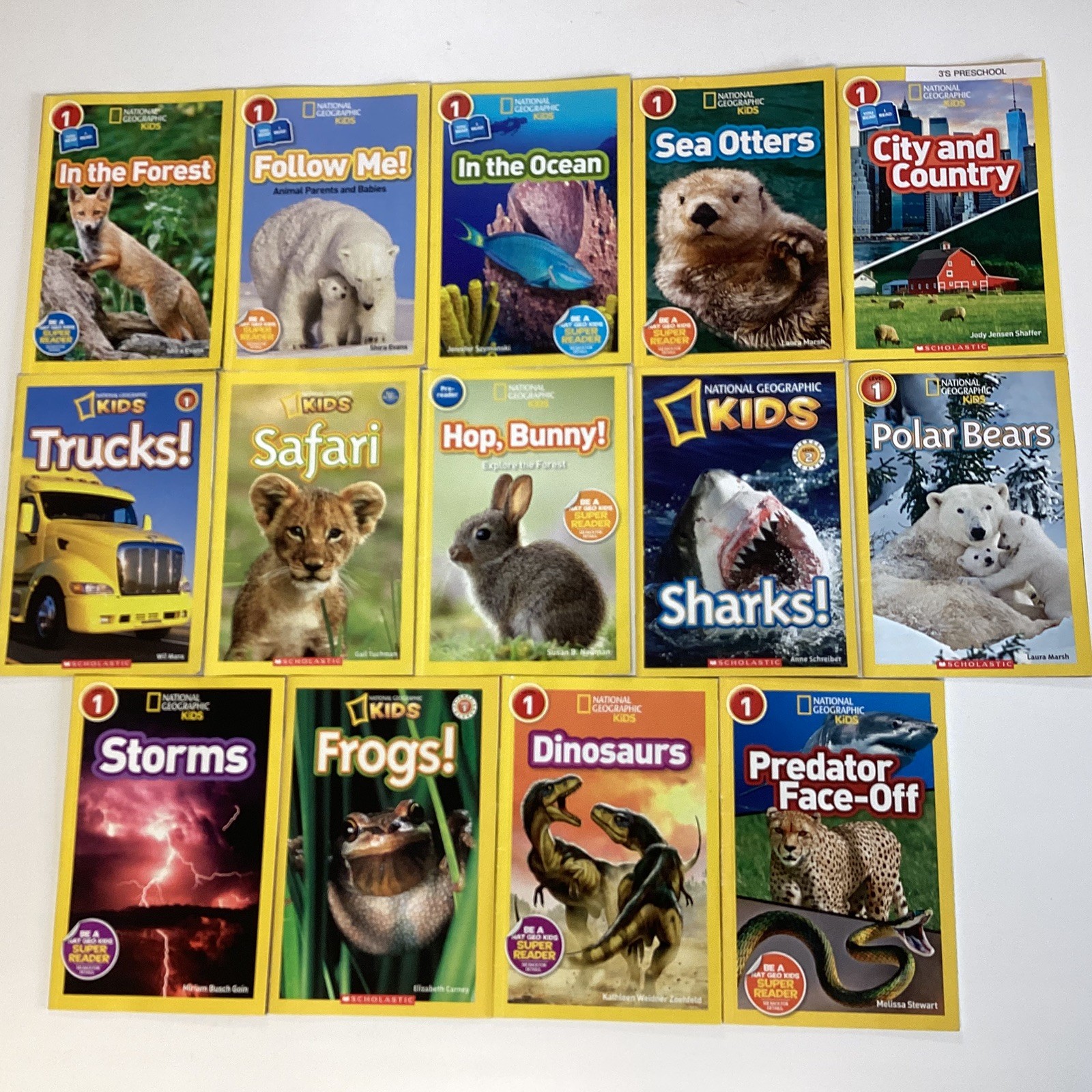 National Geographic Pre Level 1 & 2 Readers Kindergarten 1st Grade 14 Book Lot