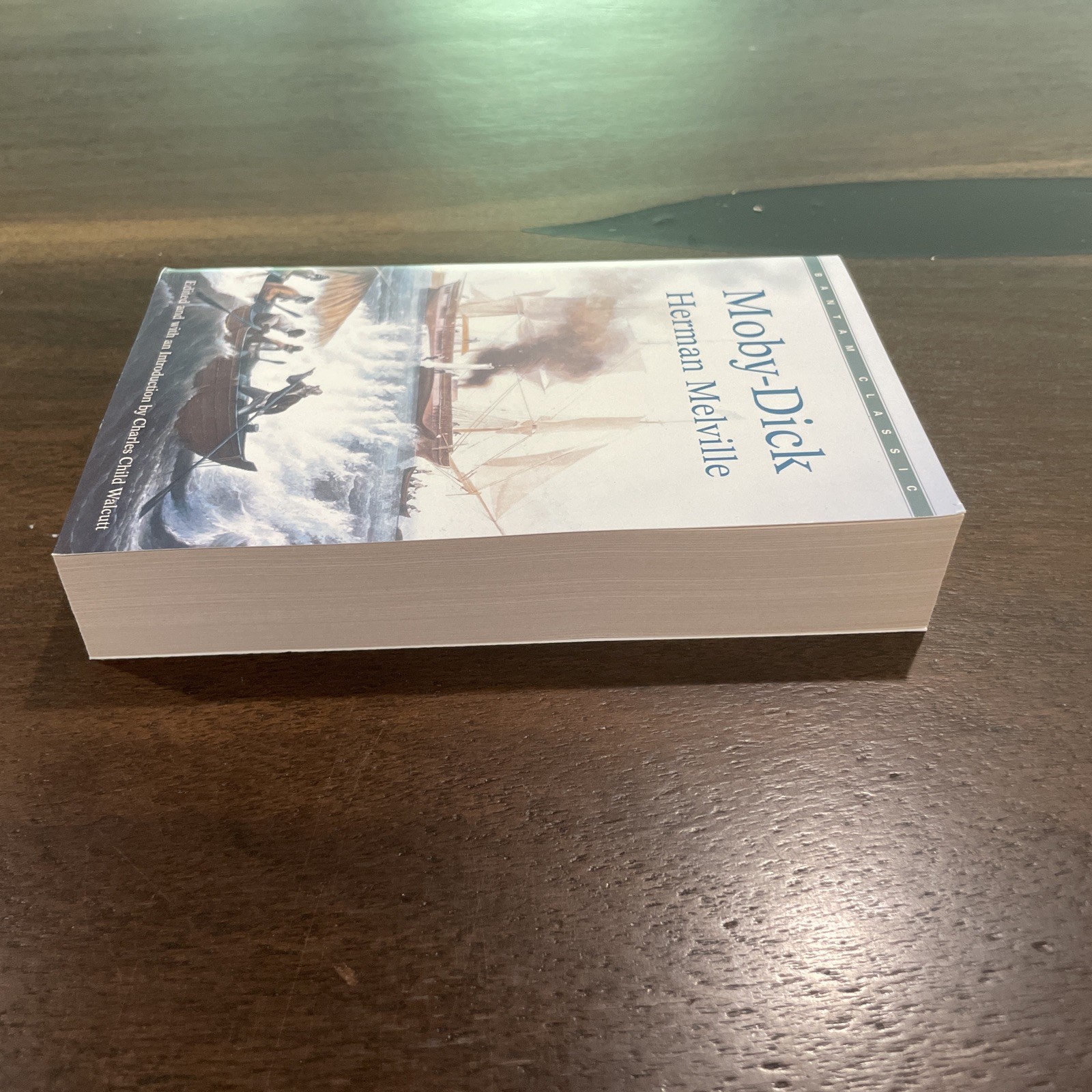 Moby-Dick by Herman Melville` (1981, Mass Market)