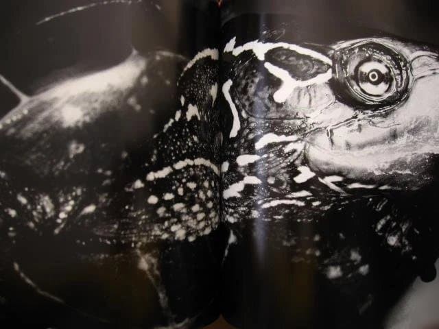 Nobuyoshi Araki „Erotos“ Photo Book First edition Hardcover Japanese