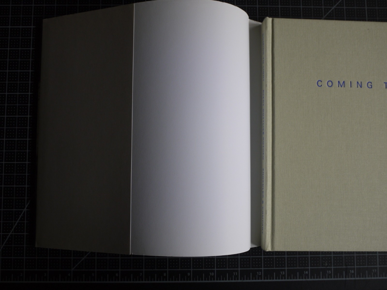 Coming to Light: Avery Gottlieb Rothko: Provincetown Summers 1957-1961 by Avery