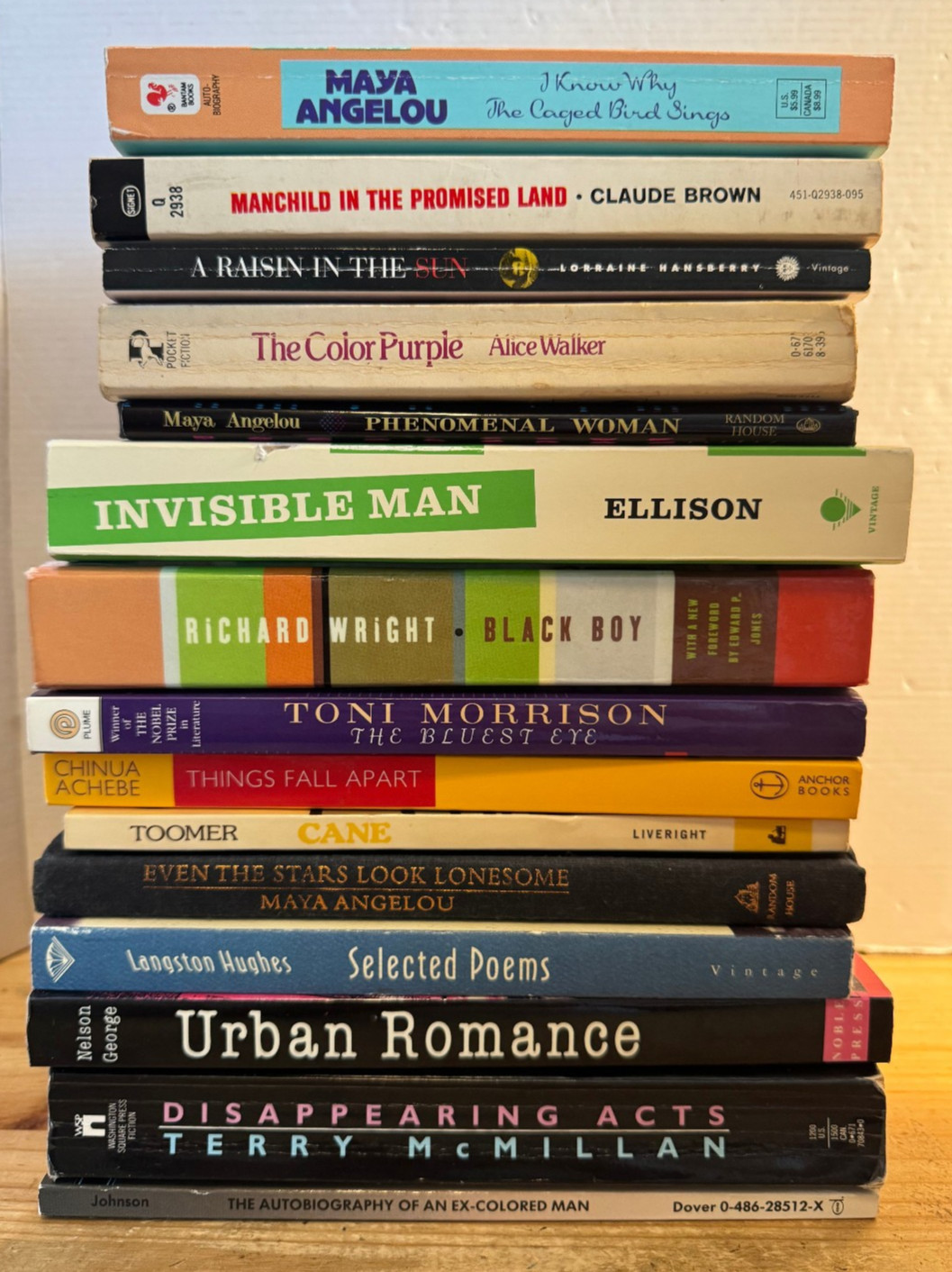 Black African American Literature Fiction Lot (27) Toni Morrison Langston Hughes