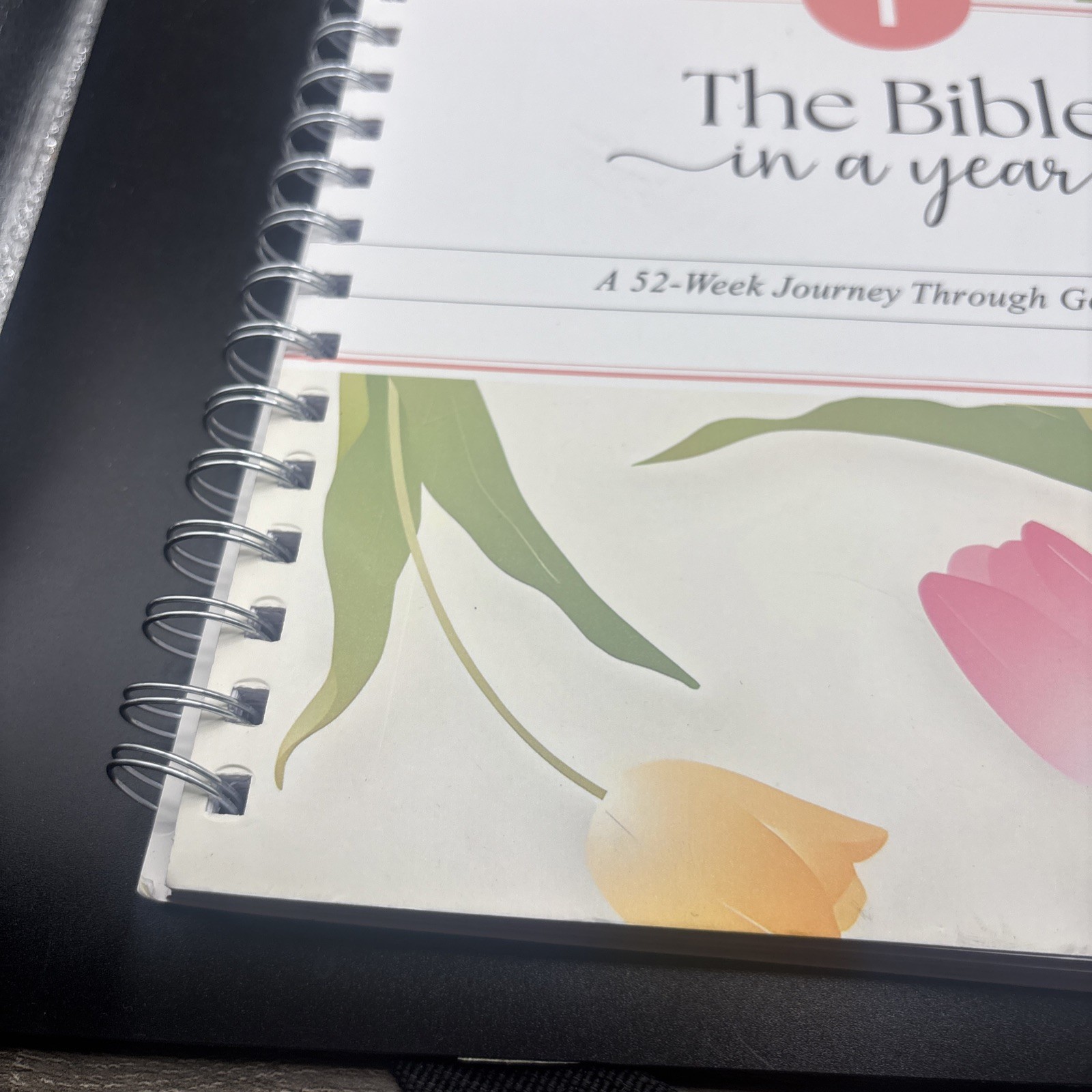 The Bible in a Year Spiral Bound Study Guide 52-Week Journey Through God’s Word