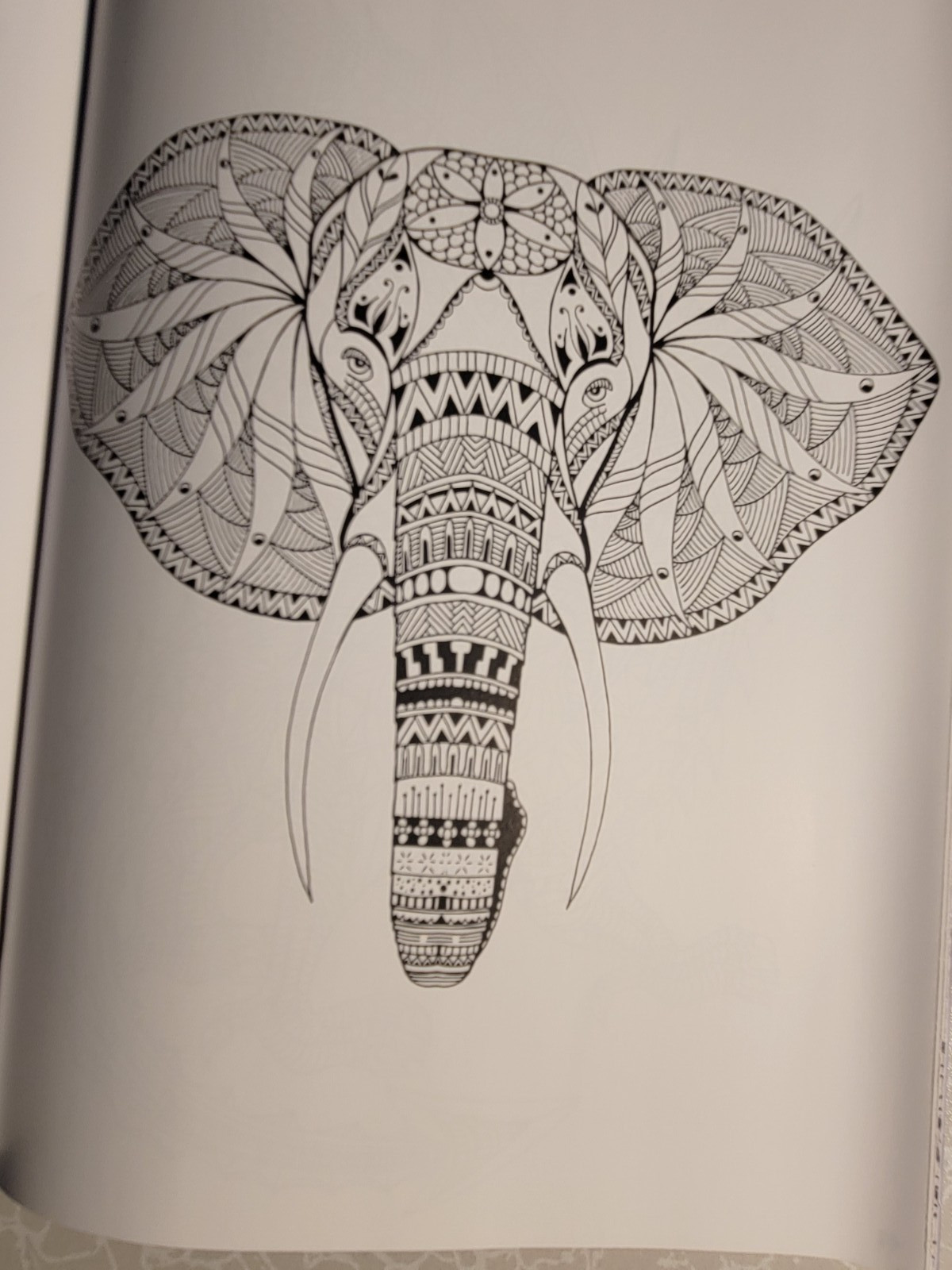 MYTHICAL CREATURES & MORE – ADULT COLORING BOOK – 48 Pages – Brilliant Escapes