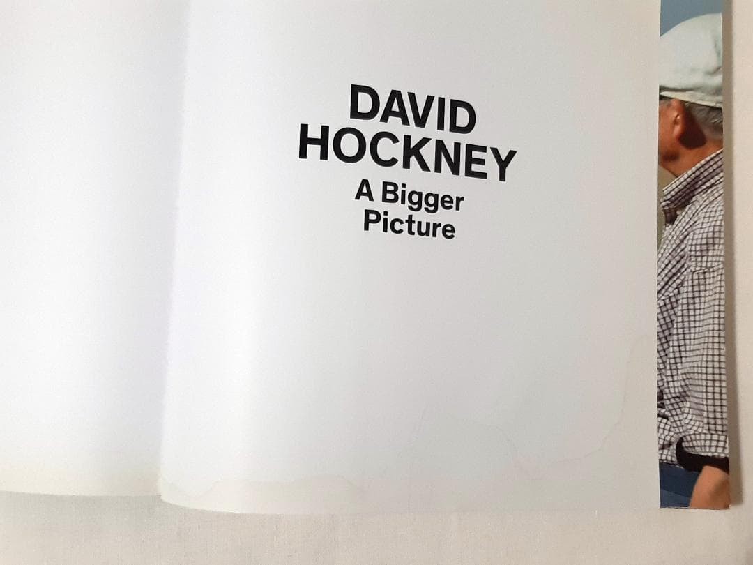 David Hockney A Bigger Picture Art Book English 301 Pages Used