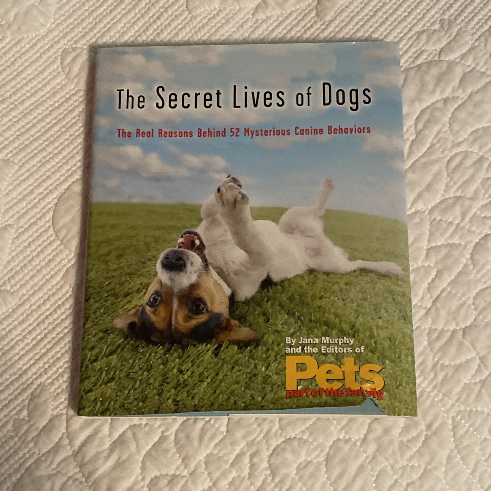 The Secret Lives of Dogs Jana Murphy 2000 Illustrated Pets MJF Books