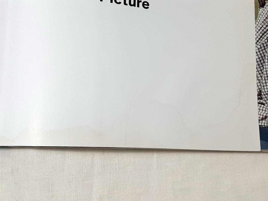 David Hockney A Bigger Picture Art Book English 301 Pages Used