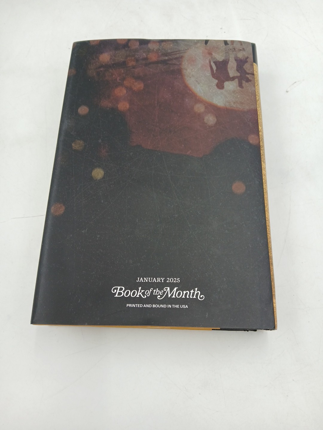 The Favorites A Novel by Layne Fargo Book of the Month Edition Hardcover