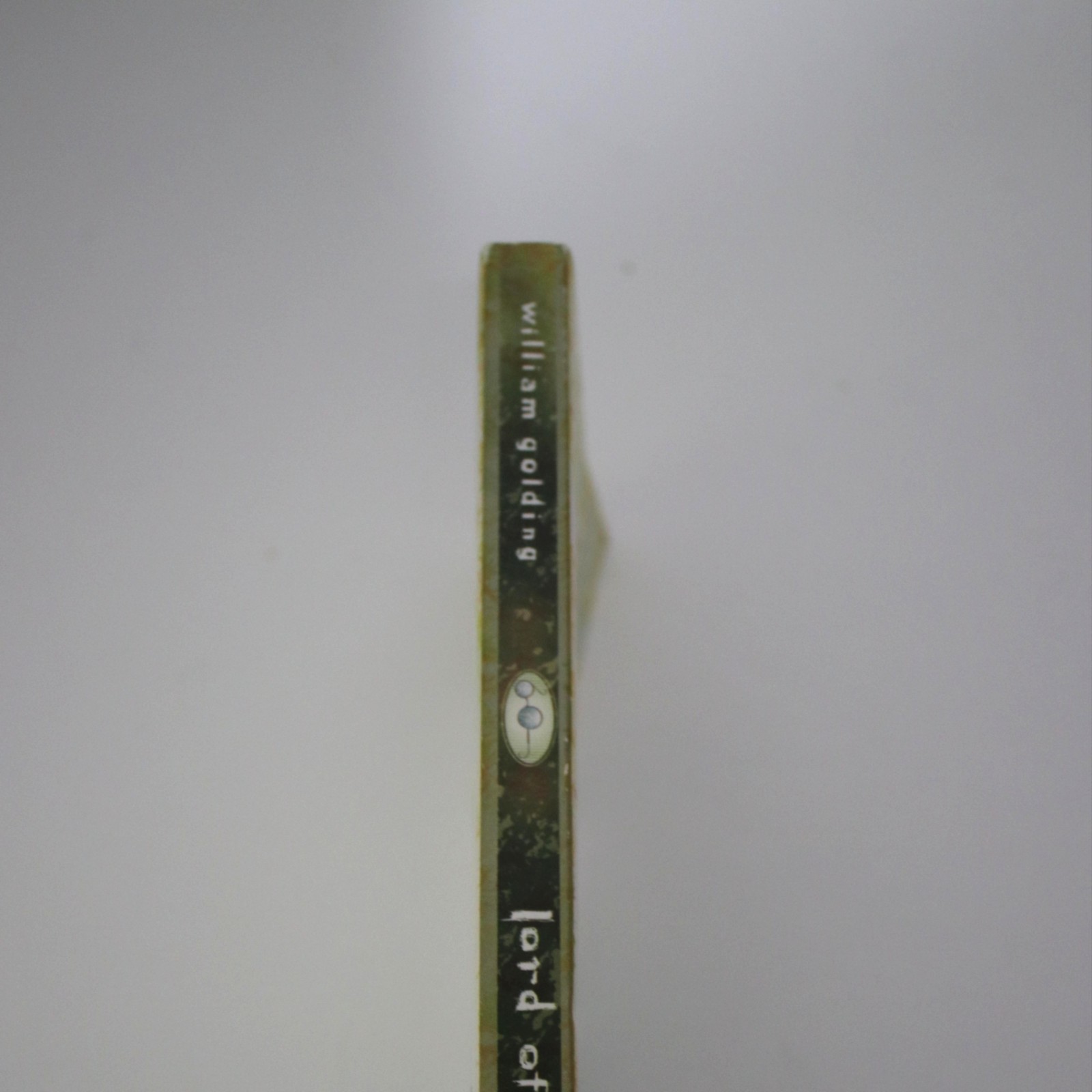 Lord Of The Flies William Golding Paperback Novel Classic Fiction 2015 Perigee