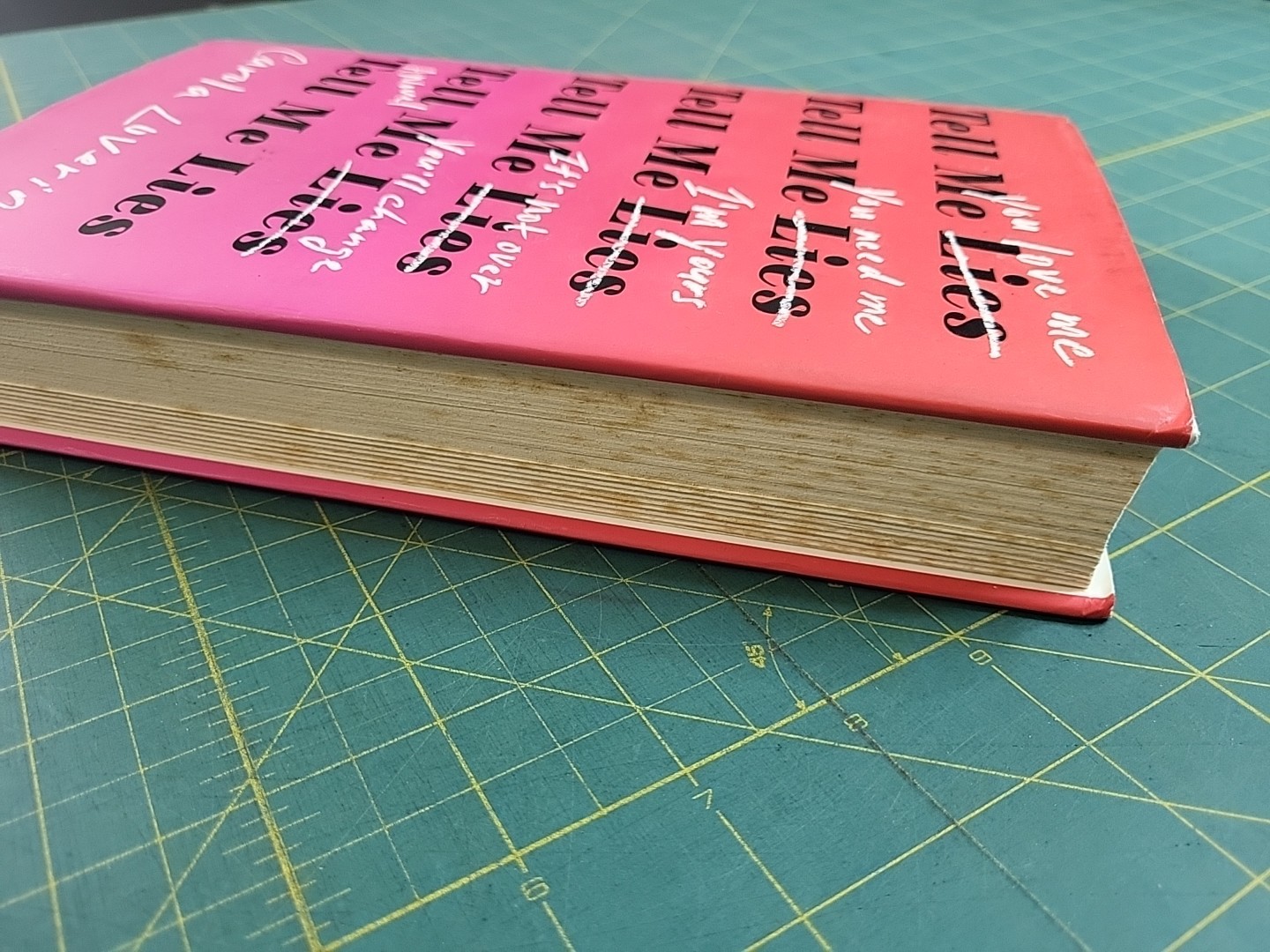 Tell Me Lies: A Novel by Carola Lovering 2018 Hardcover First Atria Edition DJ