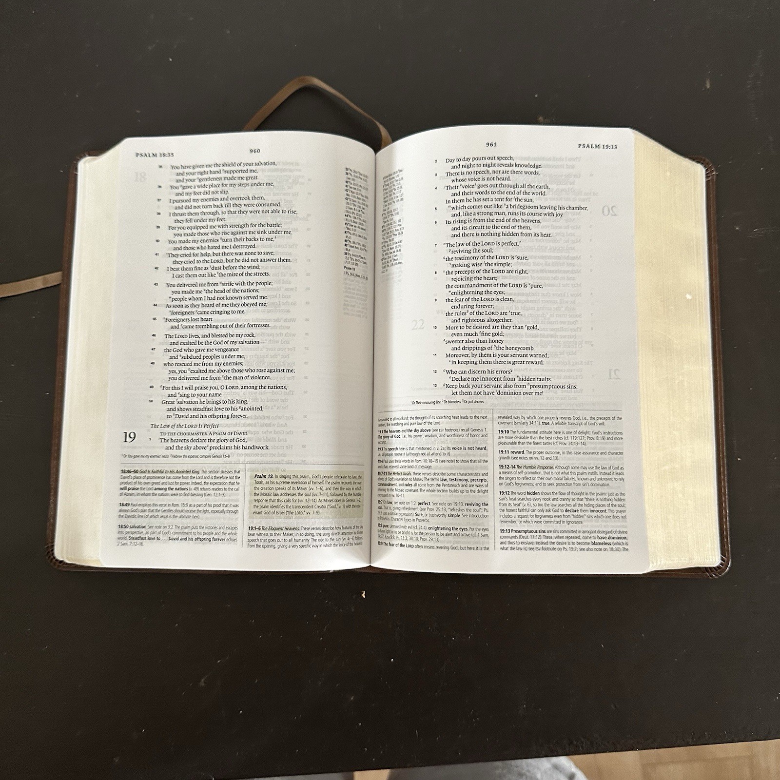 ESV Study Bible Trutone Brown 2016 Edition Gold Pages Bookmark English Standard