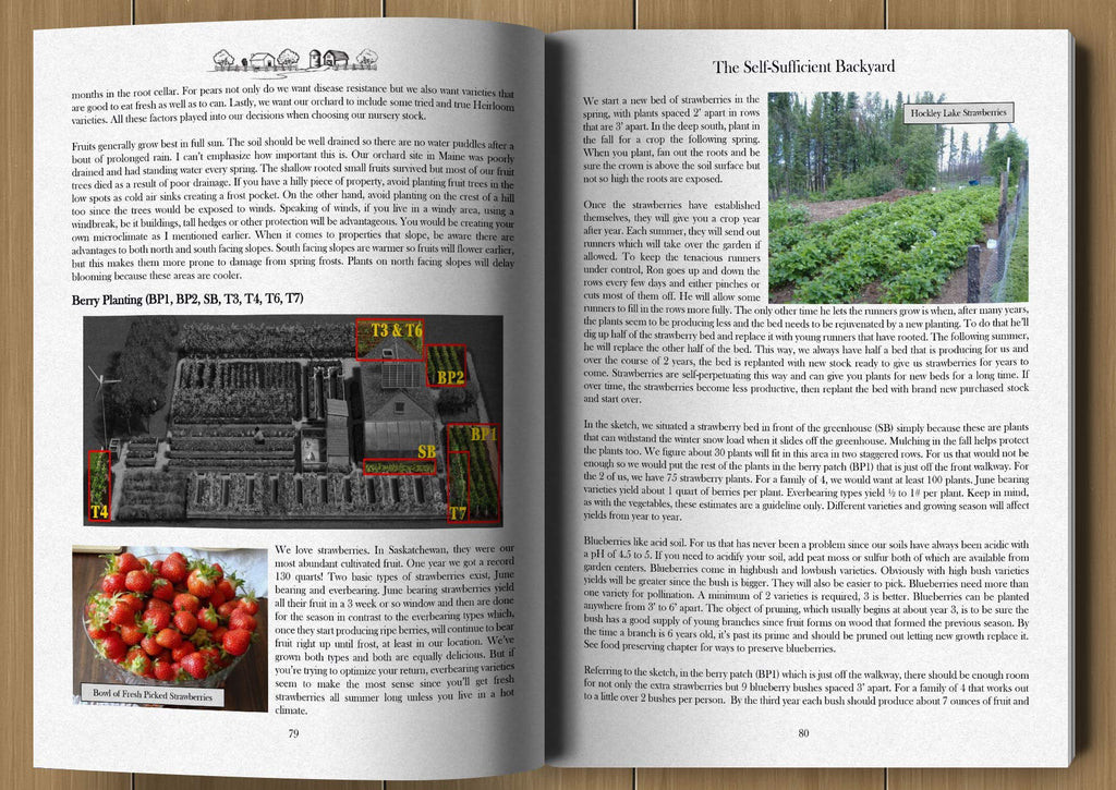 The Self-Sufficient Backyard for Paperback Book