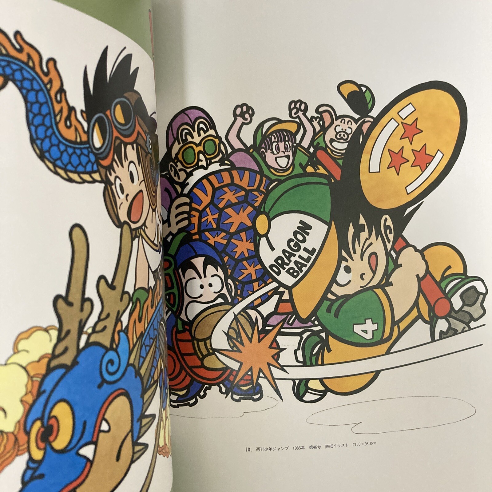 Akira Toriyama THE WORLD SPECIAL Art Book Illustration