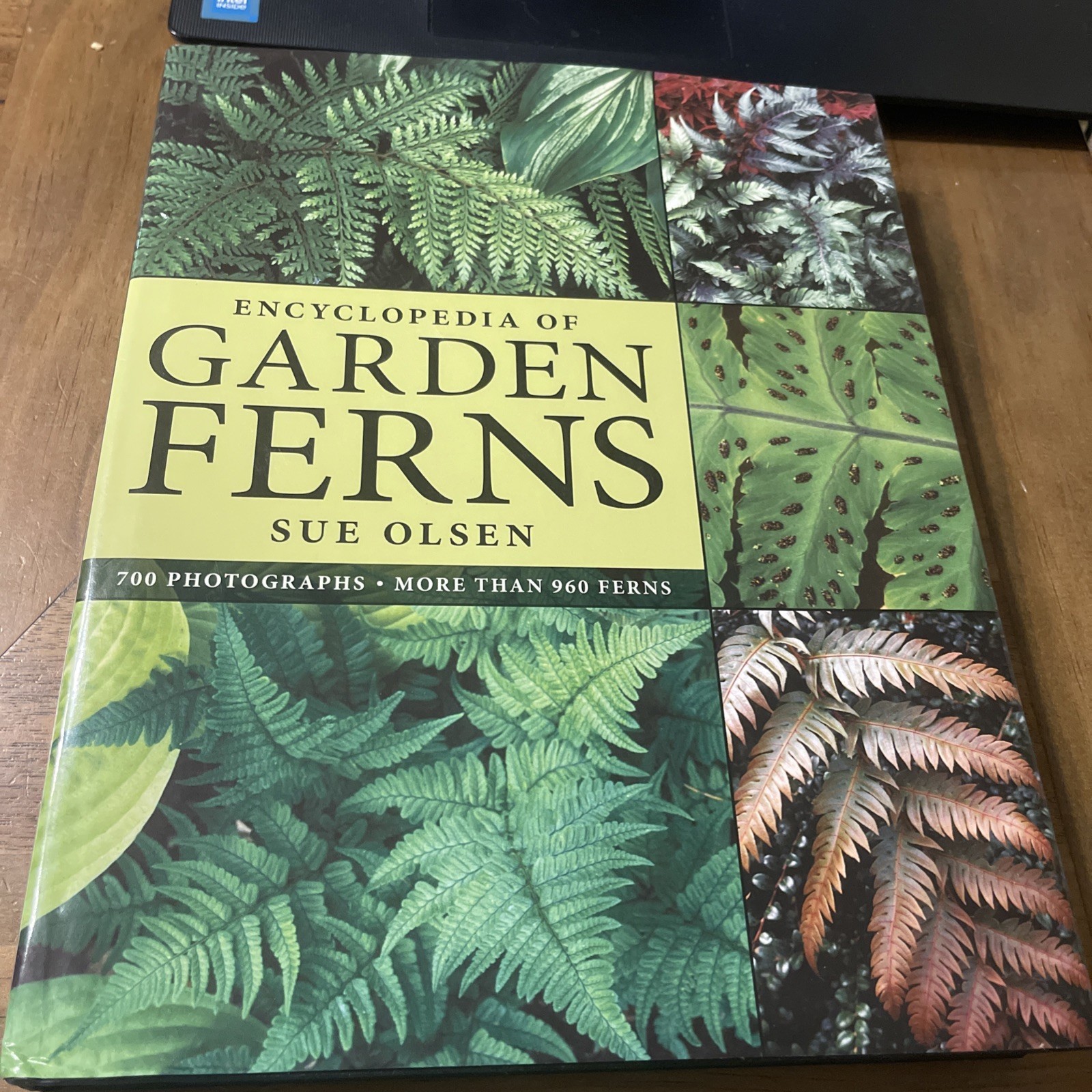 Encyclopedia of Garden Ferns by Sue Olsen (2007, Hardcover)