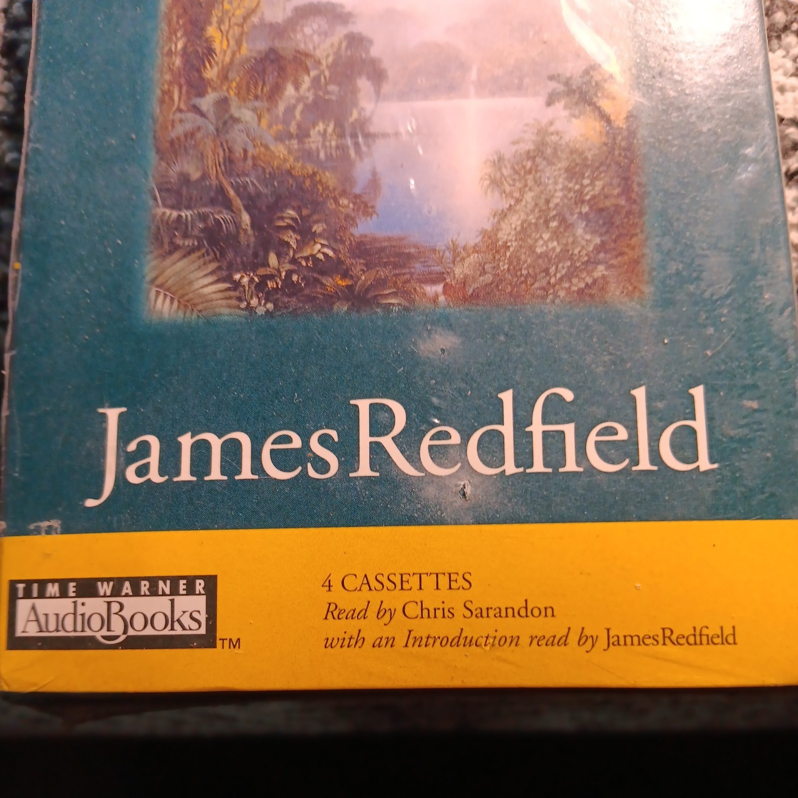 The Tenth Insight : Holding the Vision by James Redfield (1998, Paperback)