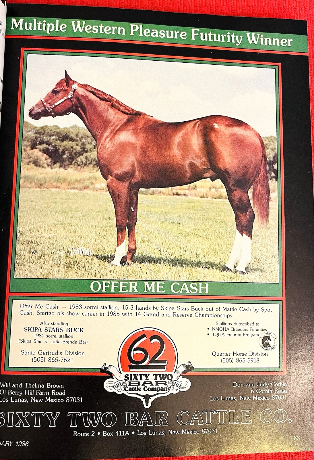 SALE ENDS 6/15! 1986 QUARTER HORSE JOURNAL Book – DYNAMIC DELUXE, ZAN PARR BAR