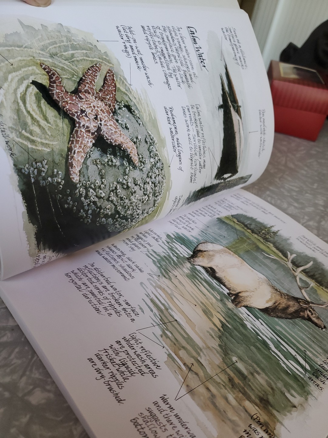 Painting with Watercolor, Pen and Ink Paperback Claudia Nice. illustrated 2001