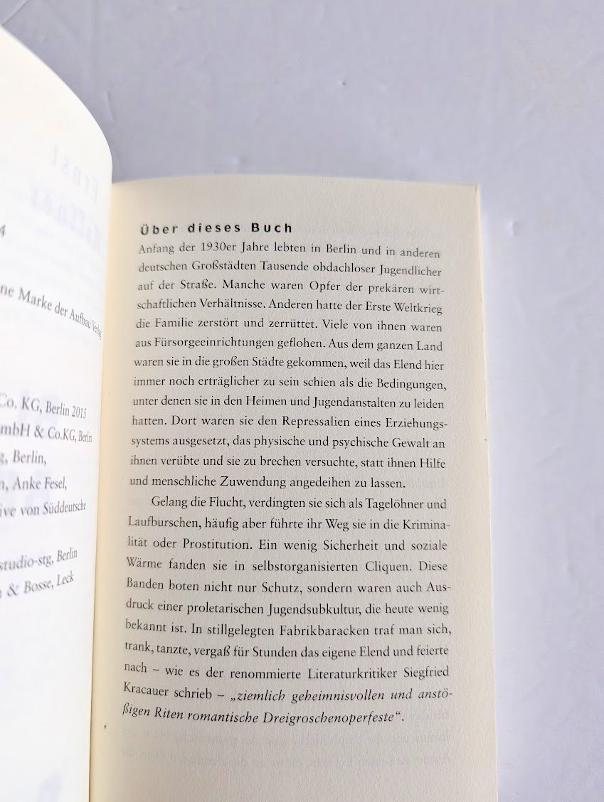 Ernst Haffner – Blutsbruder – Aufbau Taschenbuch, PB, GC+