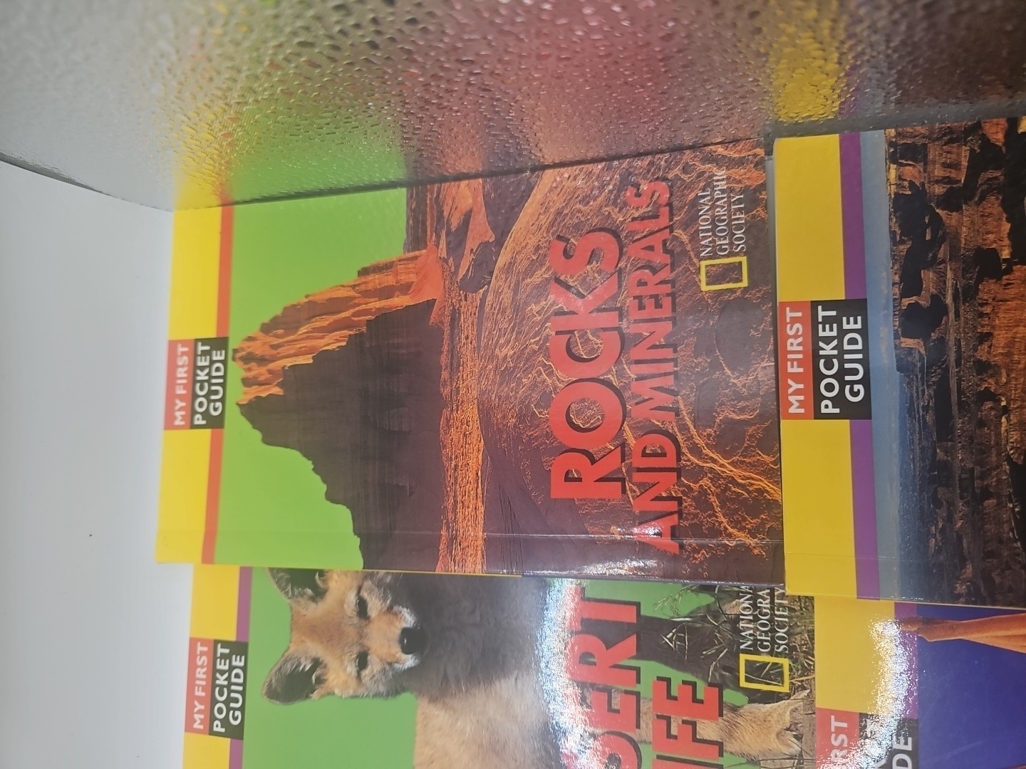 National Geographic My First Pocket Guides: Big Collection 11 Books science