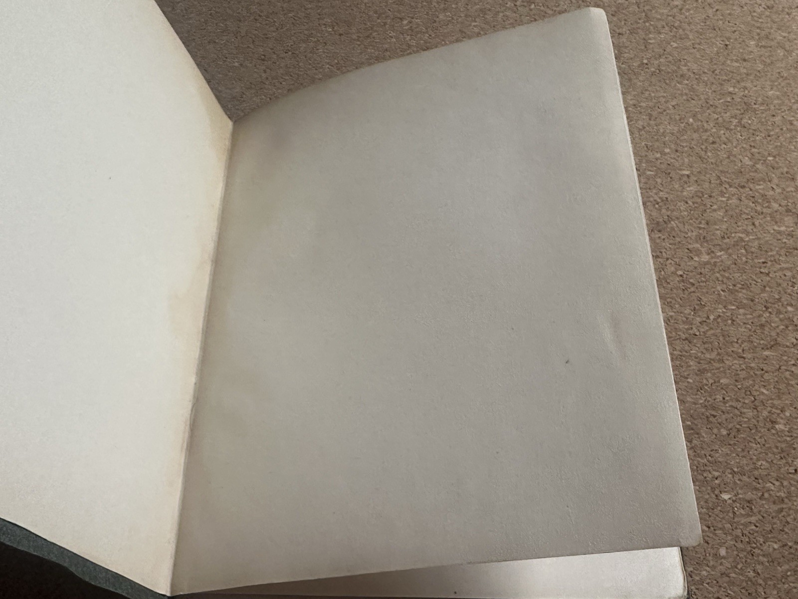 The Sermon on the Mount Annie Rix Militz 1904 SC Antique Christian Bible Book