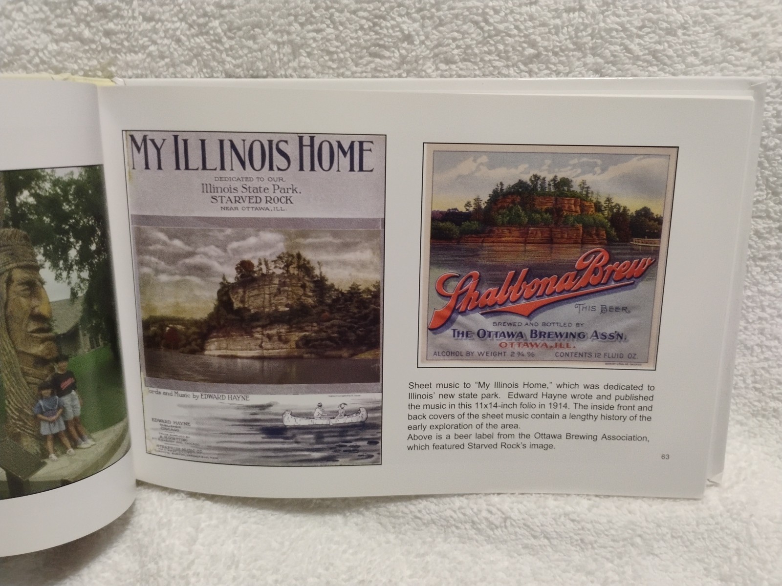 Greetings from Starved Rock Jim Ridings A Look At Vintage Picture Postcards HC
