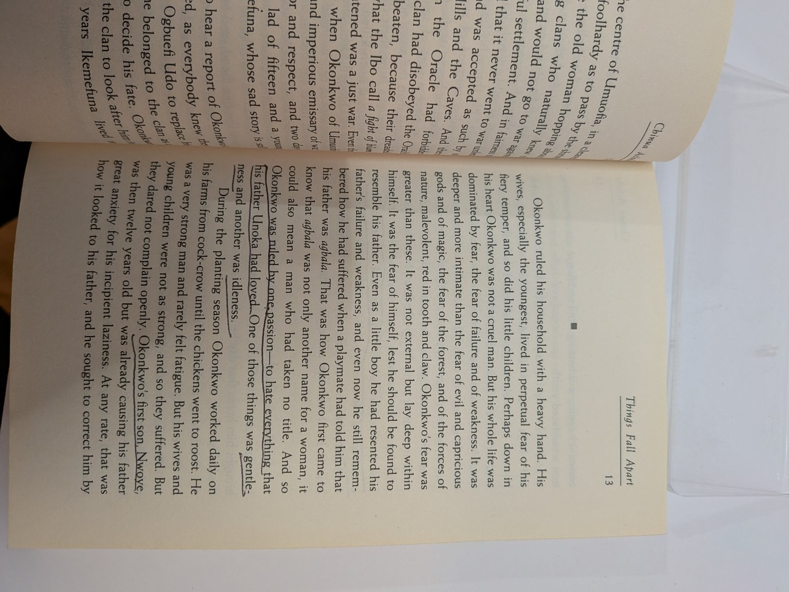 Things Fall Apart Chinua Achebe 1994 50th Anniversary Ed Used SC Good
