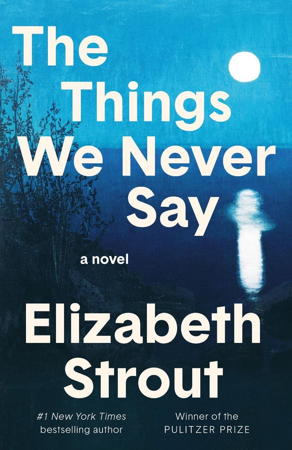The Things We Never Say: A Novel by Elizabeth Strout Hardcover Book