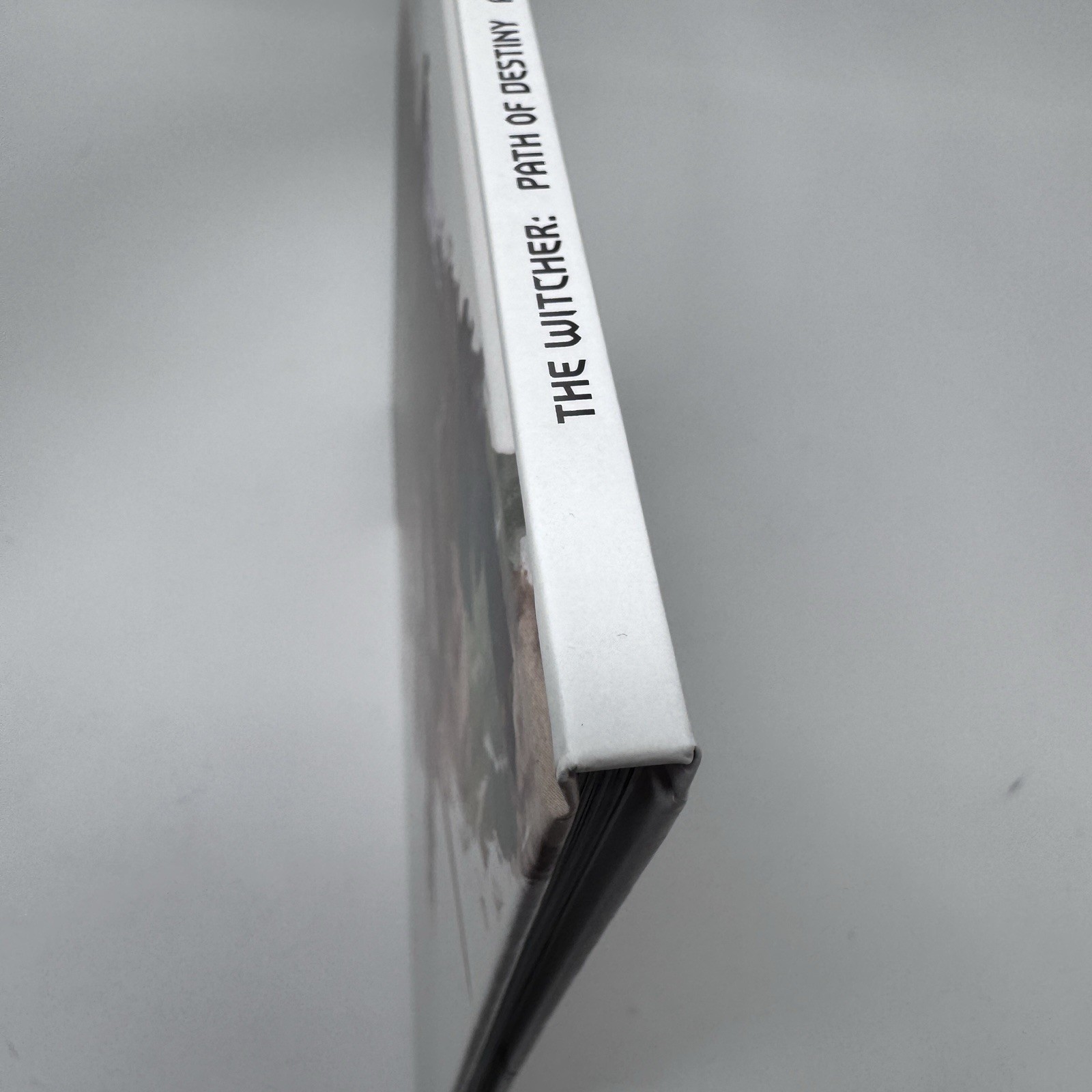 The Witcher: Path Of Destiny Artbook Excellent Condition