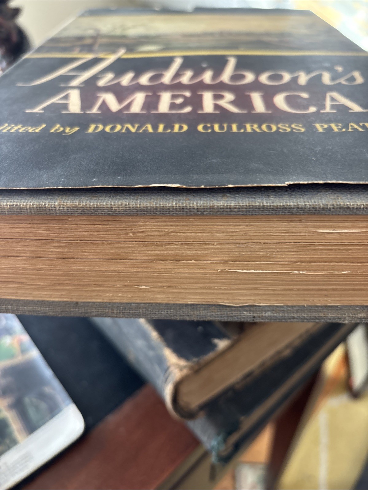 Audubon’s America, Donald Culross Peattie 1940, 328 page/ 17 color plates HC