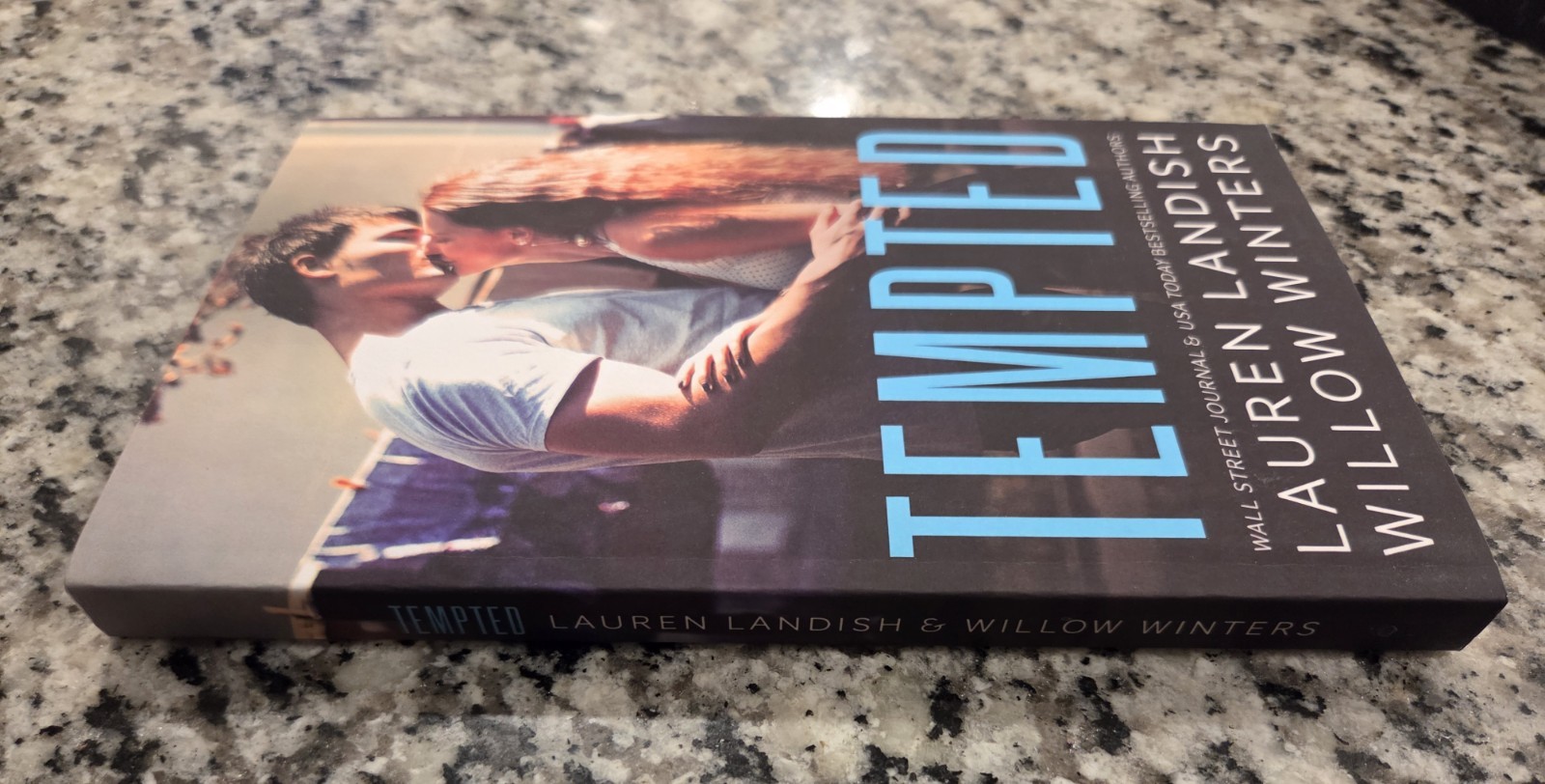 Tempted: A Bad Boy Next Door Soft Cover Lauren Landish & Willow Winters Book