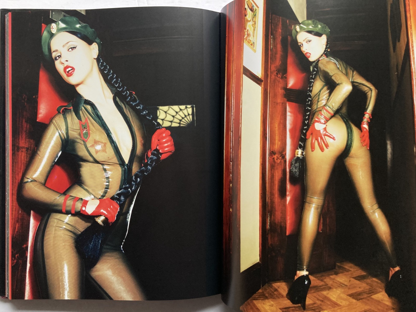 VIVA’S PINUPS – BULLET BRAS AND BACKSEAT BETTIES / VIVA VAN STORY / HARDBOUND