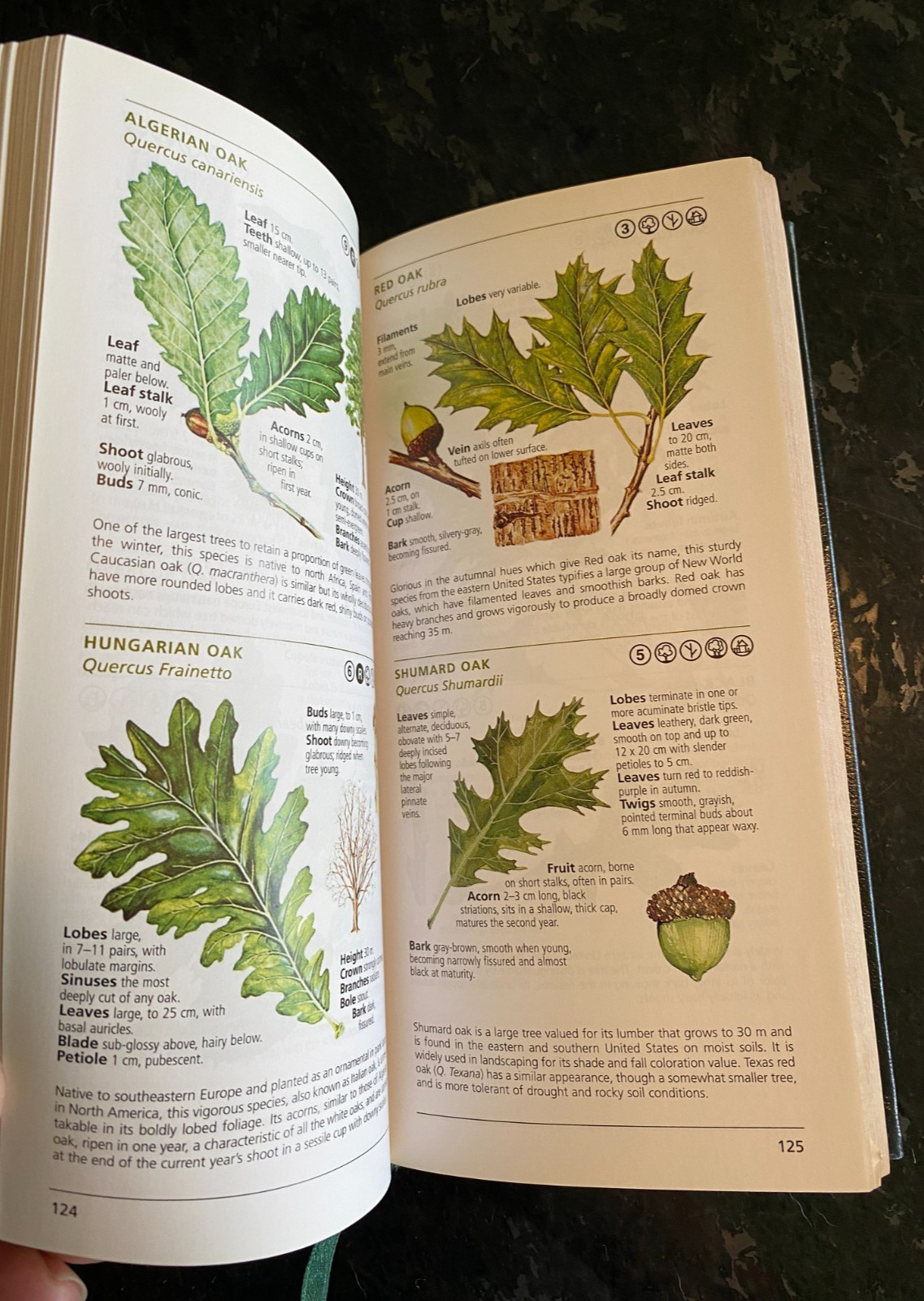 National Geographic/Field Guide to the TREES Of North America/2006/ISBN:07922551