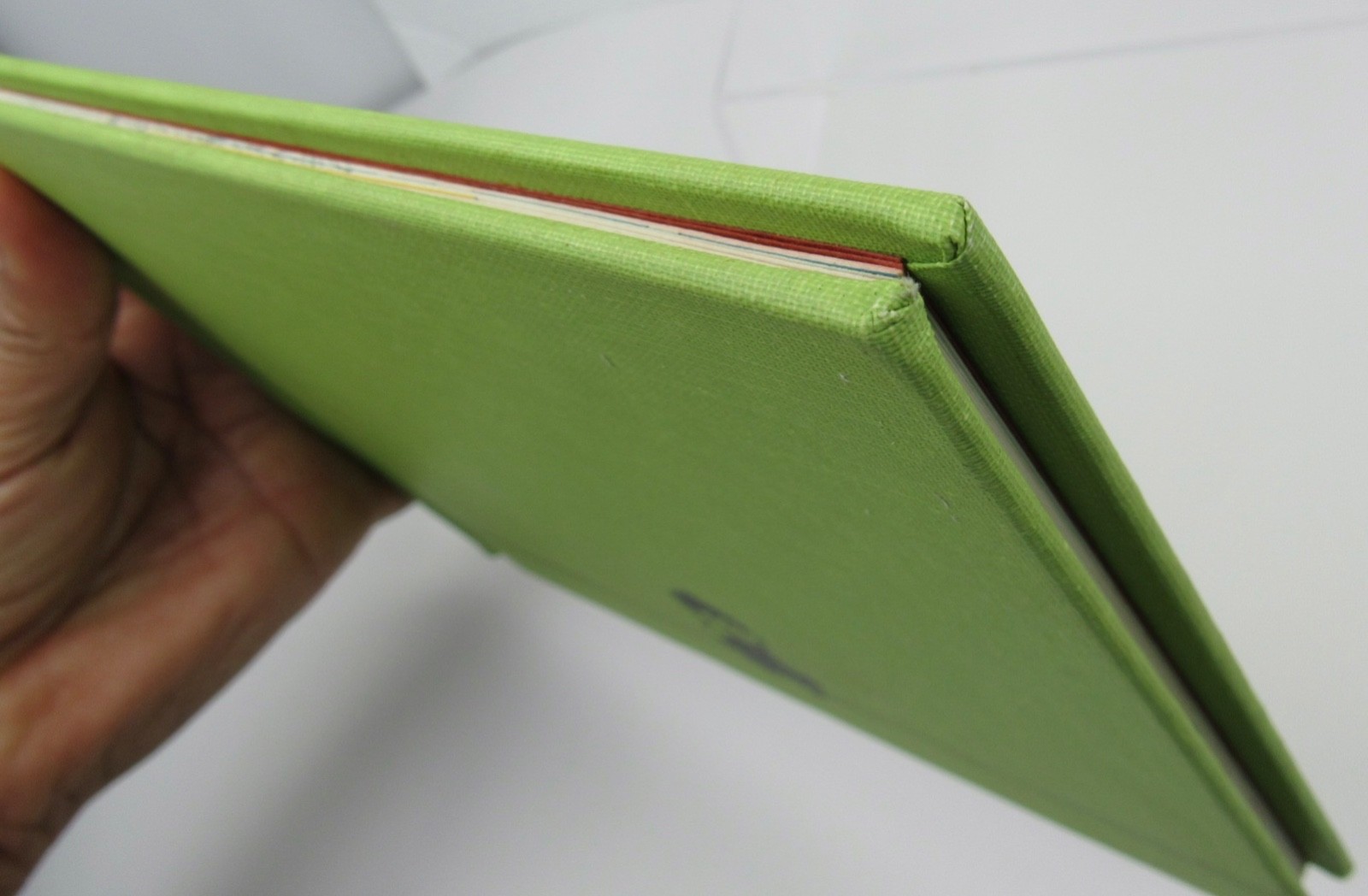 RARE Ellen Raskin Signed with Drawing HC Book Nothing Ever Happens On My Block